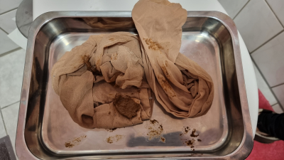 NYLLONS WITH SHITMARKS